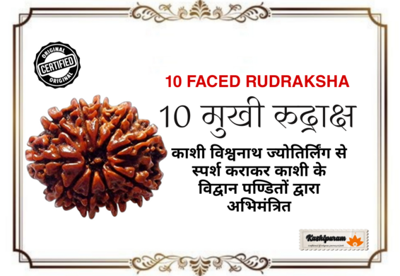 10 Mukhi Rudraksh (अभिमंत्रित 10 मुखी रुद्राक्ष मनका)