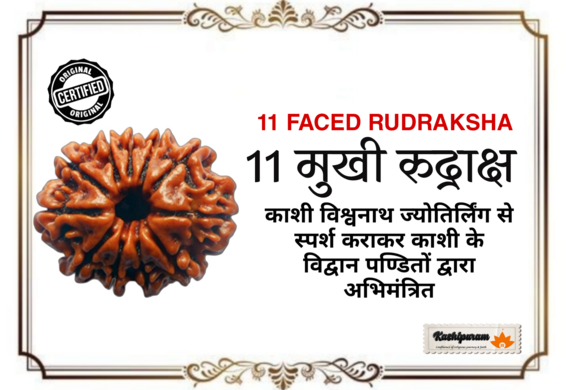 11 Mukhi Rudraksh (अभिमंत्रित 11 मुखी रुद्राक्ष मनका)