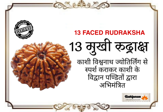 13 Mukhi Rudraksh (अभिमंत्रित 13 मुखी रुद्राक्ष मनका)