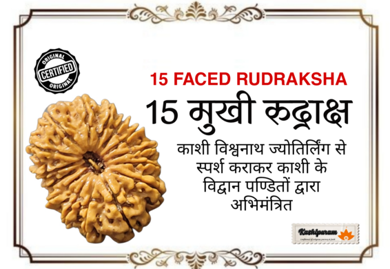 15 Mukhi Rudraksh (अभिमंत्रित 15 मुखी रुद्राक्ष मनका)