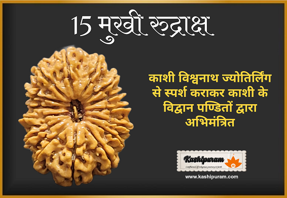 15 Mukhi Rudraksh (अभिमंत्रित 15 मुखी रुद्राक्ष मनका)