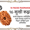 16 Mukhi Rudraksh (अभिमंत्रित 16 मुखी रुद्राक्ष मनका)
