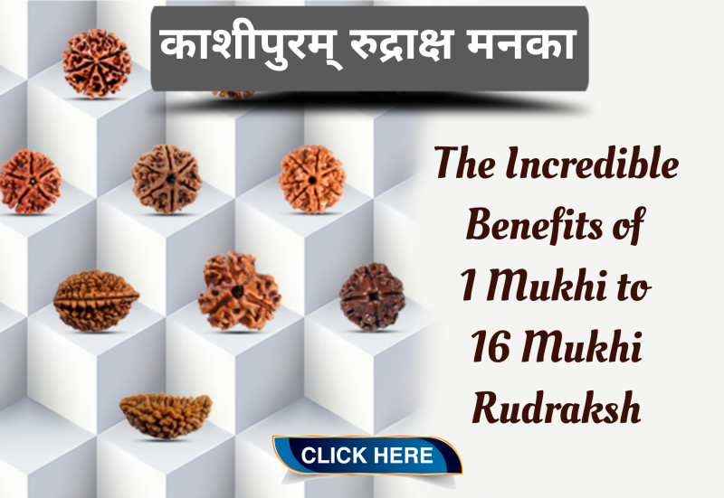 Rudraksha Beads