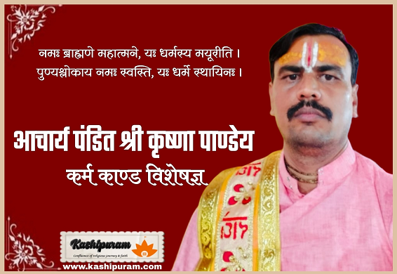 आचार्य पंडित श्री कृष्णा पांडेय (Acharya Pt. Shri Krishna Pandey)