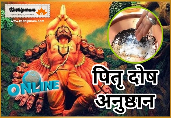 पितृदोष निवारण पूजा (Pitradosh Nivaran Pooja Online)