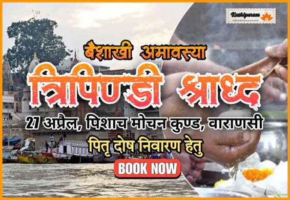 Pitru Dosh Nivaran Anushthan