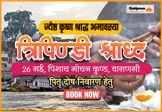 Pitru Dosh Nivaran Anushthan